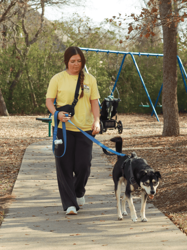 OUR VIP (Very Important Pup) Club Aggieland Dog Walking Bryan College-Station