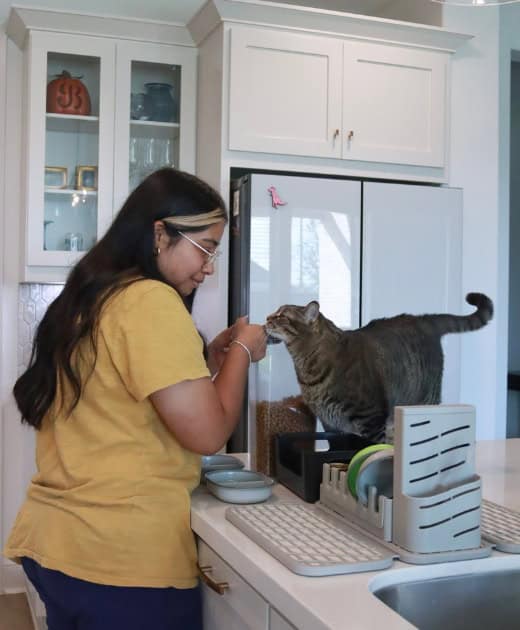 cat sitter petting a cat in a home in Bryan-College Station
